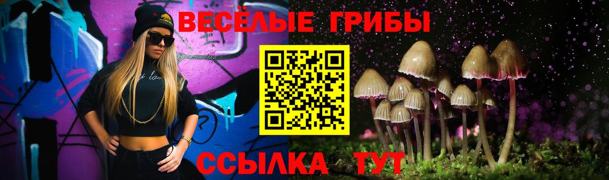 Псилоцибиновые грибы ЛСД Кудымкар
